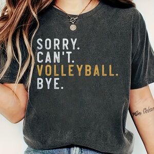 Gray Graphic Tee with Volleyball Print EUC